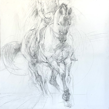 Rosemary Parcell nz fine art horse drawings